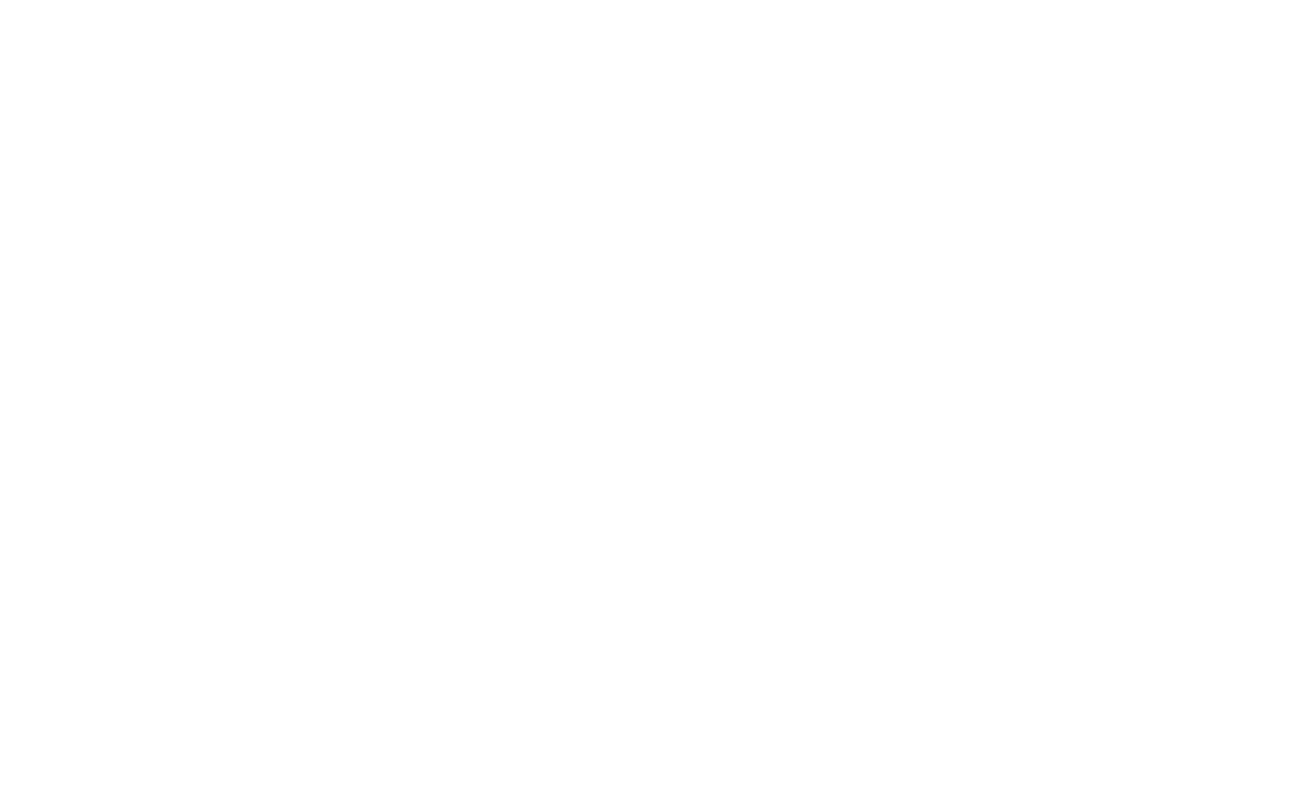 Asset 1